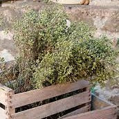 Load image into Gallery viewer, Wild oregano of Crete 45gr