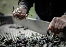 Load image into Gallery viewer, Throumba Wrinkled Olives 500gr