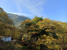 Load image into Gallery viewer, Olive oil tasting experience in the nature