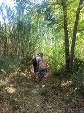 Load image into Gallery viewer, Olive oil tasting experience in the nature