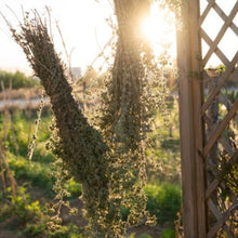 Load image into Gallery viewer, Extra virgin olive oil with Wild Oregano 250ml