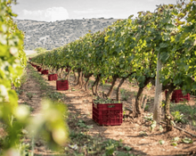 Load image into Gallery viewer, Cretan roze wine 750ml