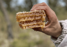 Φόρτωση εικόνας στο εργαλείο προβολής Συλλογής, Thyme Pine honey of Crete 250gr