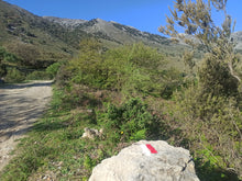 Load image into Gallery viewer, Olive oil tasting experience in the nature