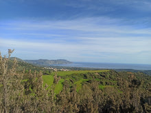 Load image into Gallery viewer, Olive oil tasting experience in the nature