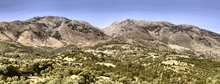 Load image into Gallery viewer, Olive oil tasting experience in the nature