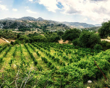 Load image into Gallery viewer, Cretan roze wine 750ml