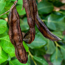 Load image into Gallery viewer, Carob pasta Fusili