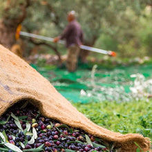 Load image into Gallery viewer, Extra virgin olive oil with Wild Oregano 250ml