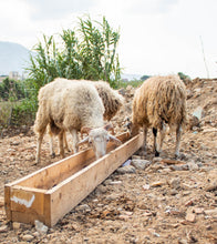 Load image into Gallery viewer, Cretan Graviera cheese