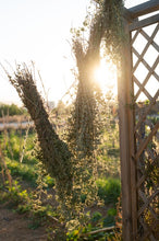 Load image into Gallery viewer, Wild oregano of Crete 45gr