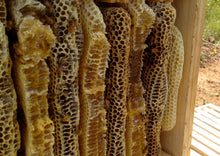 Φόρτωση εικόνας στο εργαλείο προβολής Συλλογής, Thyme Pine honey of Crete 250gr
