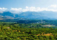 Φόρτωση εικόνας στο εργαλείο προβολής Συλλογής, 500ml Extra virgin olive oil glass bottle
