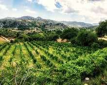 Φόρτωση εικόνας στο εργαλείο προβολής Συλλογής, Cretan roze wine 750ml
