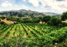Φόρτωση εικόνας στο εργαλείο προβολής Συλλογής, Organic Red wine Kotsifali Liatiko 750ml
