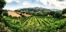 Φόρτωση εικόνας στο εργαλείο προβολής Συλλογής, Organic dry white wine Vidiano 750ml
