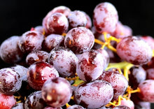 Φόρτωση εικόνας στο εργαλείο προβολής Συλλογής, Organic Red wine Kotsifali Liatiko 750ml
