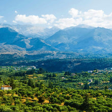 Φόρτωση εικόνας στο εργαλείο προβολής Συλλογής, 1L metal tin extra virgin olive oil
