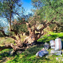 Φόρτωση εικόνας στο εργαλείο προβολής Συλλογής, 1L metal tin extra virgin olive oil
